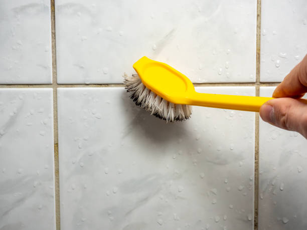 Best Certified Mold Removal  in Colfax, WI