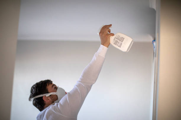 Best Mold Cleaning Services  in Colfax, WI