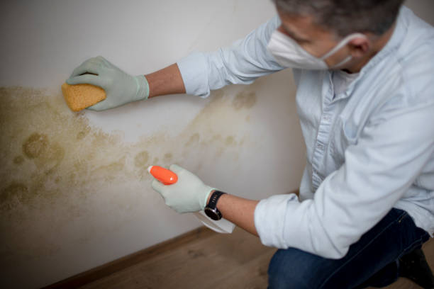 Best Mold Testing  in Colfax, WI